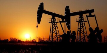 کاهش قیمت نفت در سایه اختلاف‌ها در اوپک