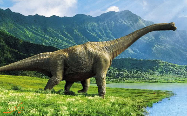 ردپای دایناسورها در پیری انسان! ردپای دایناسورها در پیری انسان!