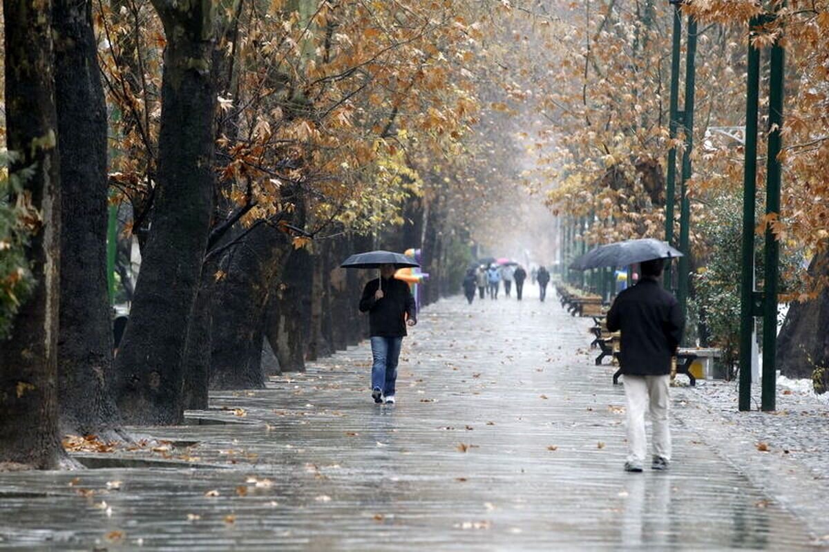 بارش باران و برف در ۱۳ استان از فردا | سردتر شدن هوا در نیمی از کشور