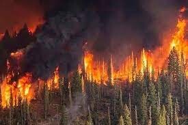 اطفای آتش سوزی در ۱۹ هکتار از عرصه های طبیعی گیلان