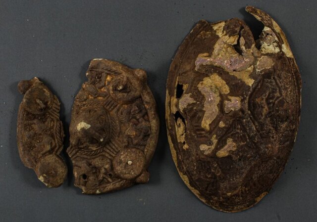 کشفهای مهم و غافلگیرکننده!