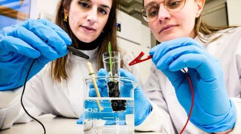 محققان خاک الکترونیکی تولید کردند محققان خاک الکترونیکی تولید کردند