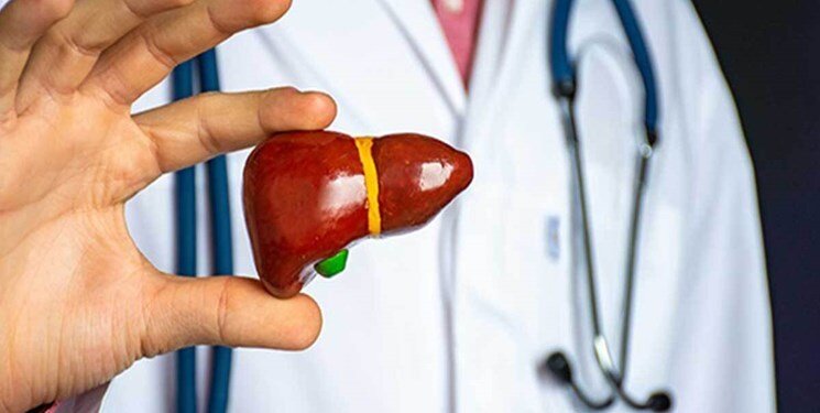 کشف راهی برای درمان کبد چرب   کشف راهی برای درمان کبد چرب