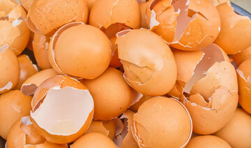 پوسته تخم‌مرغ را دور نریزید؛ از آن پوشش ضدخوردگی بسازید!