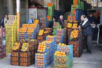 قیمت میوه شب عید باید زودتر مشخص شود