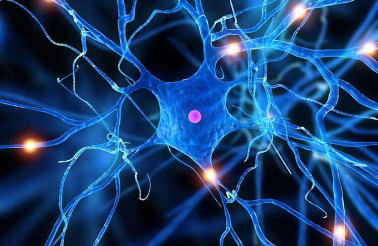 آغاز برنامههای هفته آگاهی مغز از ۸ اسفند آغاز برنامههای هفته آگاهی مغز از ۸ اسفند