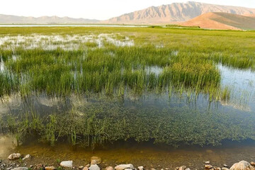تداوم اجرای طرح حفاظت از تالاب‌های ایران