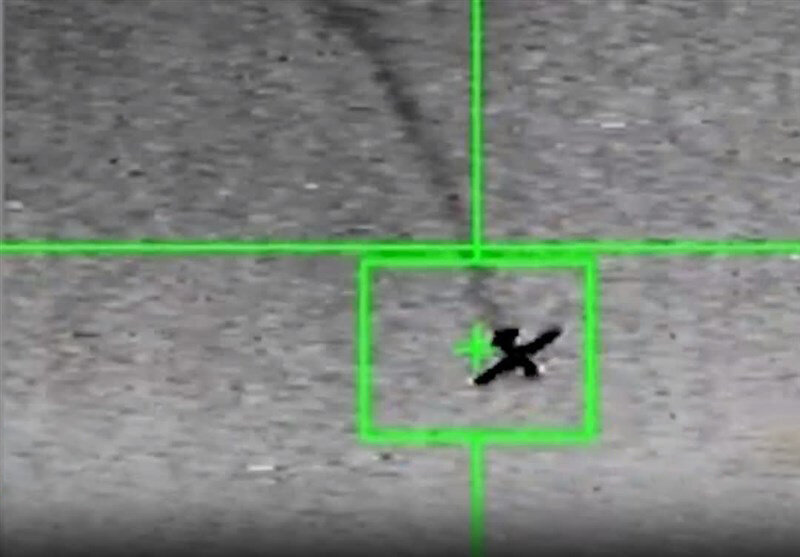 چیدن بال های هرمس چیدن بال های هرمس