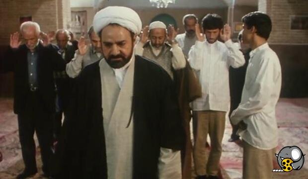 مارمولک پرحاشیه ۲۰ ساله شد مارمولک پرحاشیه ۲۰ ساله شد