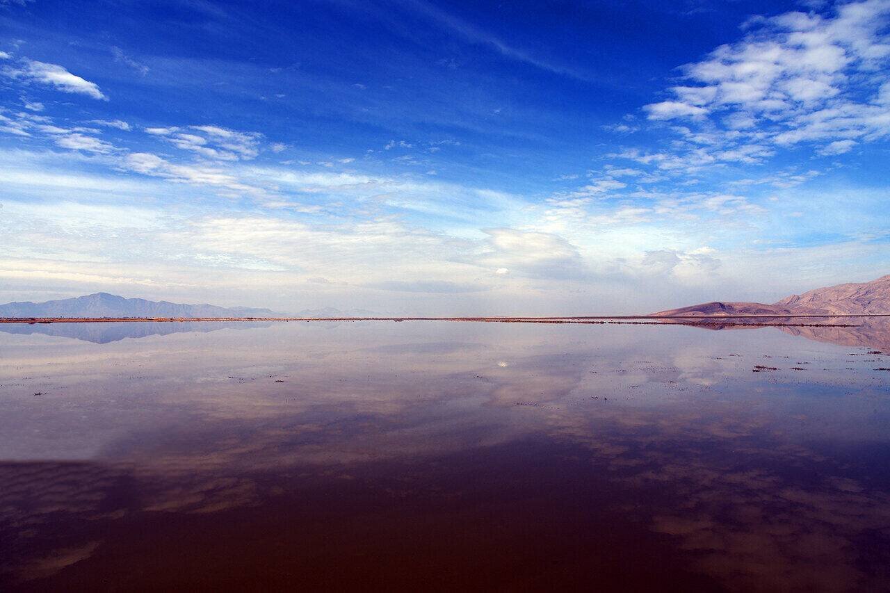 تالاب جازموریان جان میگیرد تالاب جازموریان جان میگیرد