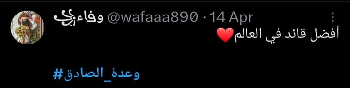 پرچم ایران بالاست