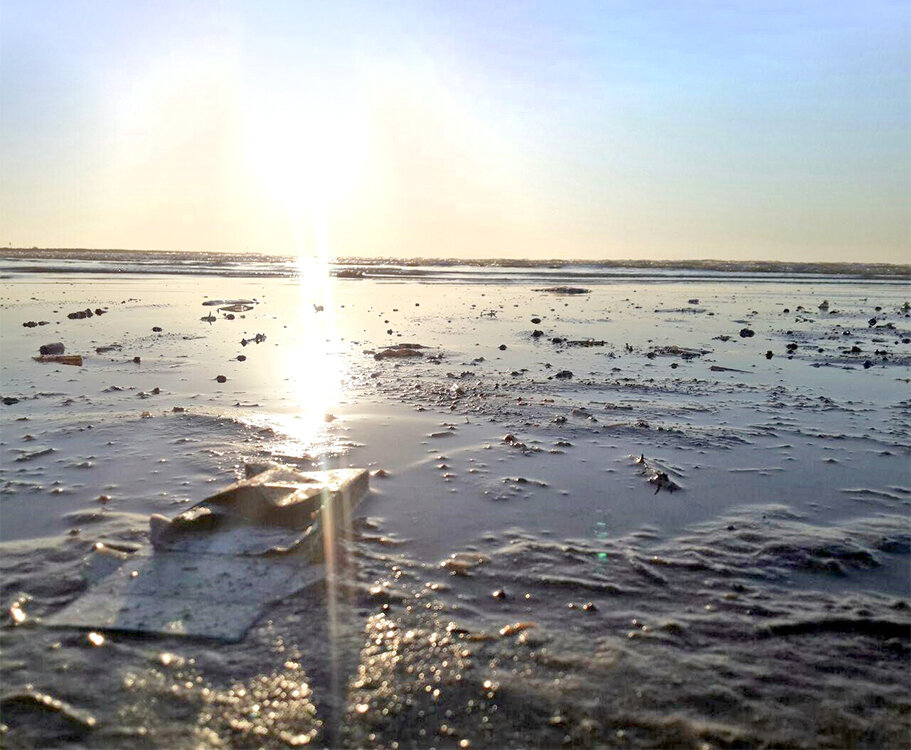 سیاست به نفع محیطزیست سیاست به نفع محیطزیست