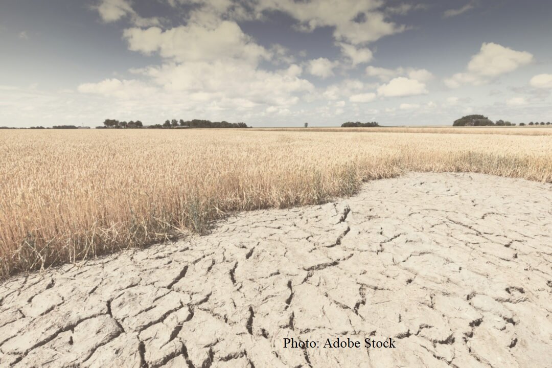 عمق بیجان زمین عمق بیجان زمین