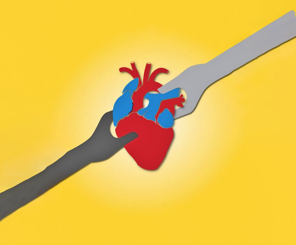 زندگی را ببخش زندگی را ببخش