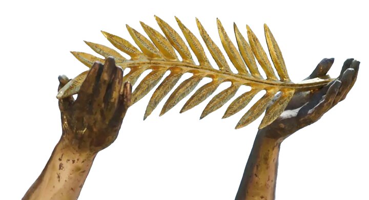 سیاستهایی که در کن نخنما شدند