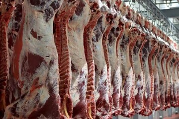 پلیس مانع توزیع ۷۰تن گوشت فاسد در کشور شد