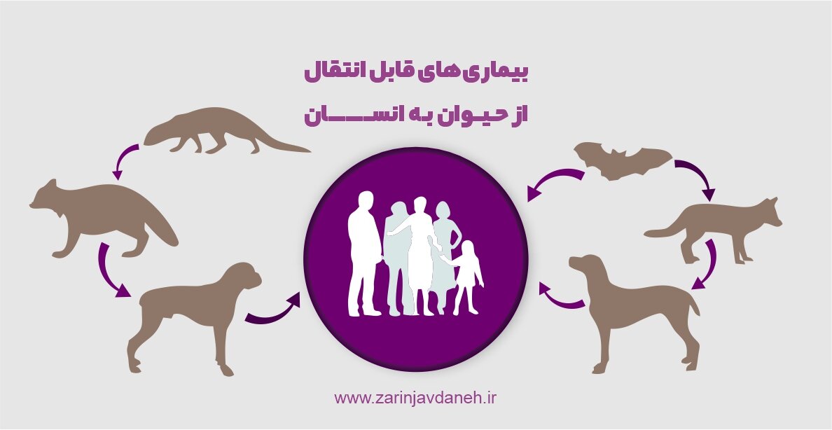 ثبت۳۷۰ هزار حیوانگزیدگی طی یکسال ثبت۳۷۰ هزار حیوانگزیدگی طی یکسال
