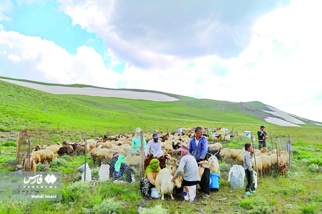 عکس خبر عکس خبر