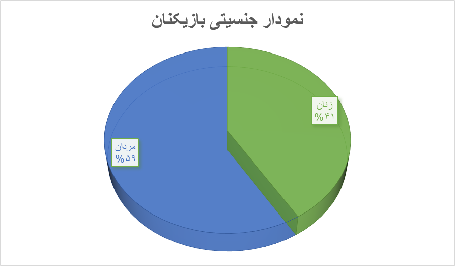 زمین بازی در ایران