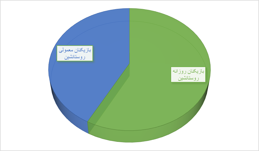 زمین بازی در ایران