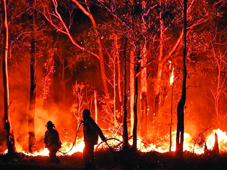 محلیها دیدبان آتش میشوند محلیها دیدبان آتش میشوند