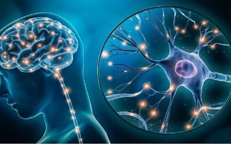 ۷۰ درصد افکار ذهن ما منفی است ۷۰ درصد افکار ذهن ما منفی است