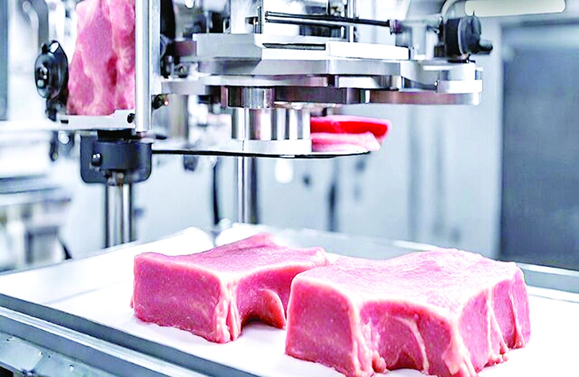 تولید گوشت مصنوعی از باقلا و نخود با ۹۰درصد پروتئین خالص در کشور تولید گوشت مصنوعی از باقلا و نخود با ۹۰درصد پروتئین خالص در کشور