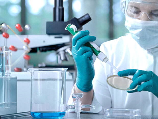 ترمیم ماهیچه از دست رفته با باکتری مهندسی شده ترمیم ماهیچه از دست رفته با باکتری مهندسی شده