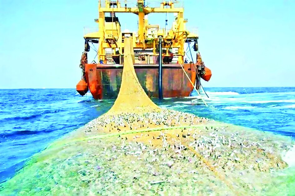 تور خالی صیادان هرمزگان تور خالی صیادان هرمزگان