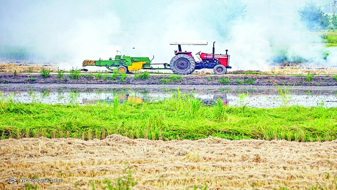 کشاورزی مبتلا به فرسودگی کشاورزی مبتلا به فرسودگی