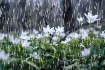 کاهش ۲۸ درصدی بارش