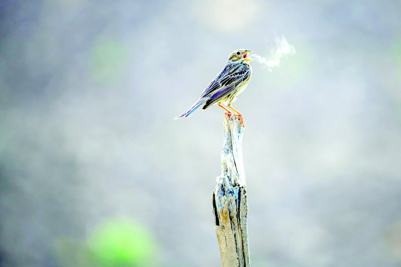 عکس خبر عکس خبر