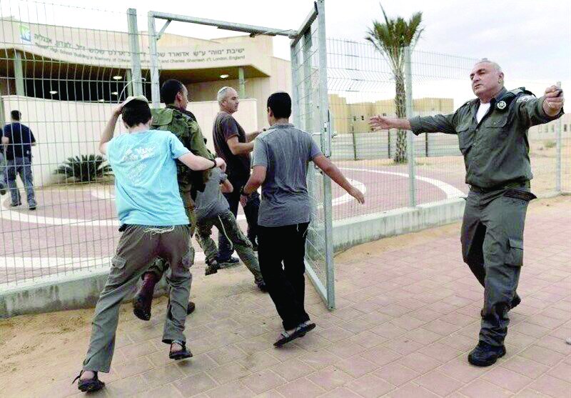 صبحانه یمنی در لانه موش صبحانه یمنی در لانه موش