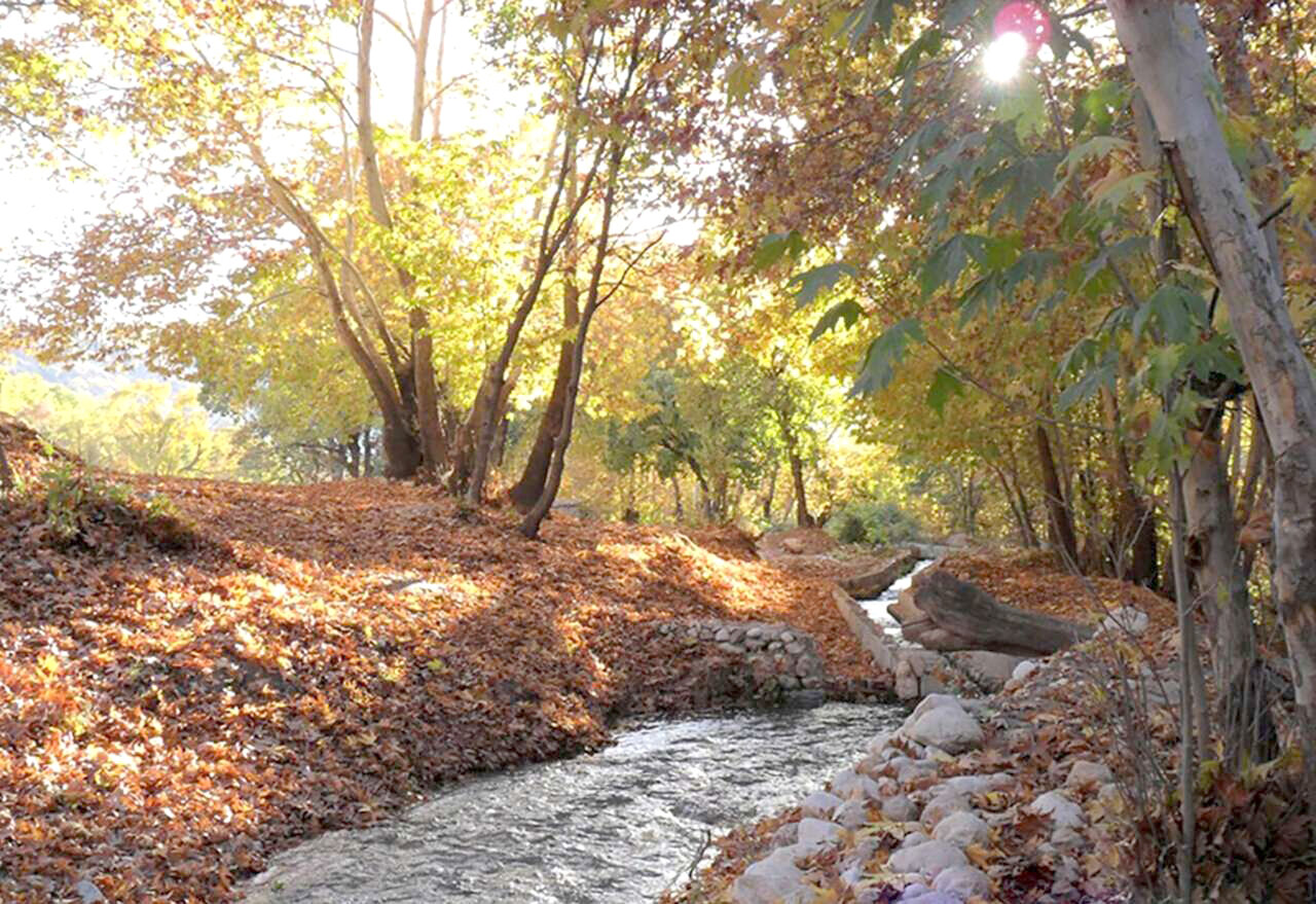 تنگ گنجهای، گنجینهای بینظیر در یاسوج تنگ گنجهای، گنجینهای بینظیر در یاسوج