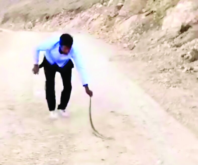 بیقانونی در حیاتوحش بیقانونی در حیاتوحش