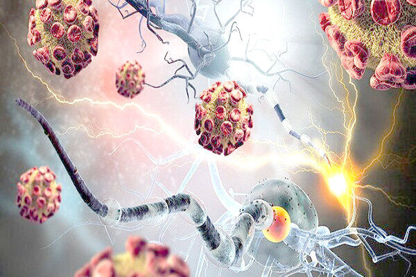 محقق ایرانی با میکروربات تومورهای سرطانی را ردیابی میکند محقق ایرانی با میکروربات تومورهای سرطانی را ردیابی میکند