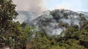 کاهش ۳۰درصدی تعداد آتشسوزی در مناطق چهارگانه کاهش ۳۰درصدی تعداد آتشسوزی در مناطق چهارگانه