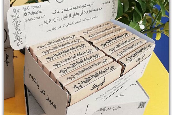 نخستین کارتهای هوشمند تغذیه گل و گیاه آپارتمانی تولید شد نخستین کارتهای هوشمند تغذیه گل و گیاه آپارتمانی تولید شد