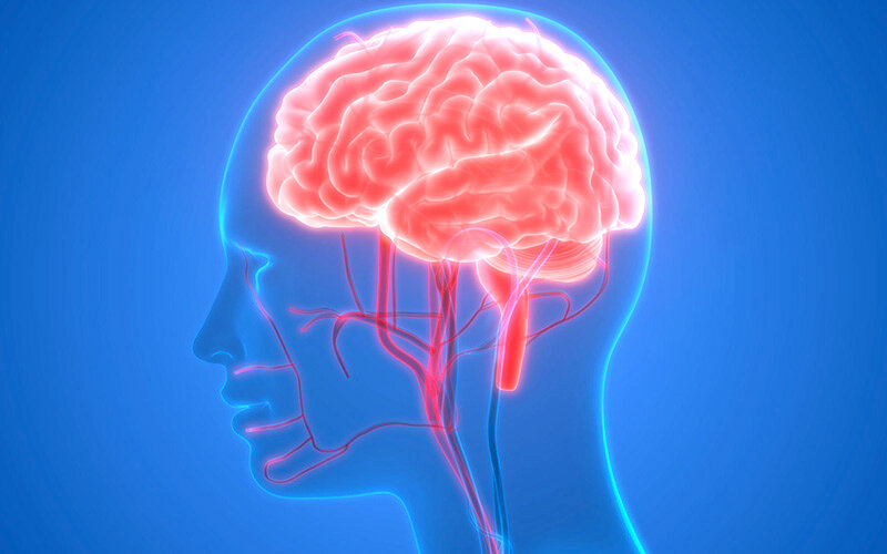 مغز چگونه خود را پاکسازی میکند؟ مغز چگونه خود را پاکسازی میکند؟