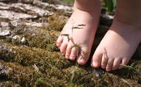 الکترون طبیعی جذب کنید الکترون طبیعی جذب کنید