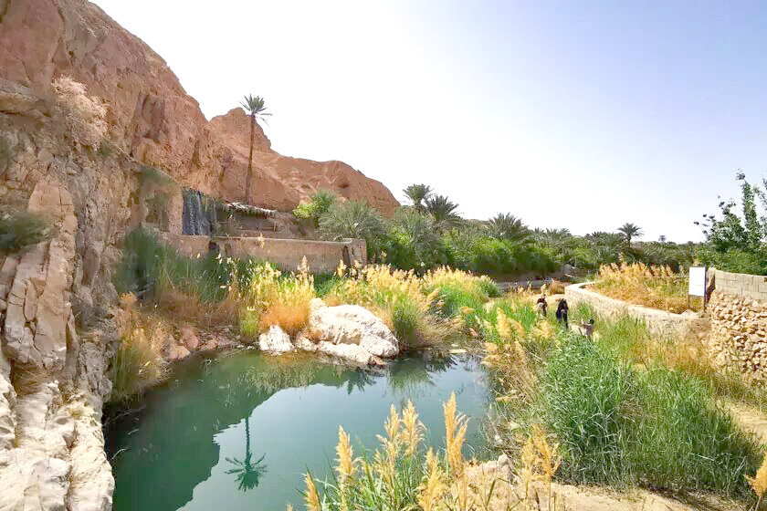 روستای ازمیغان؛ بهشت کویری طبس روستای ازمیغان؛ بهشت کویری طبس