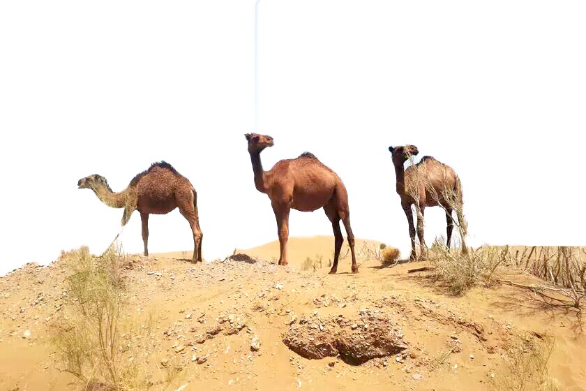 «کویر مصر» اصفهان؛ زیبای بی‌ادعا با پهنه‌ای از سکوت