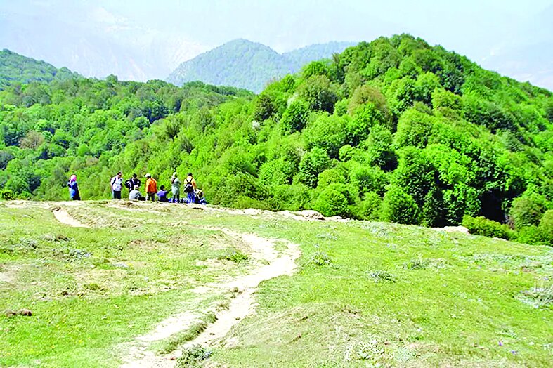 راهنمای سفر به جنگل الیمستان راهنمای سفر به جنگل الیمستان