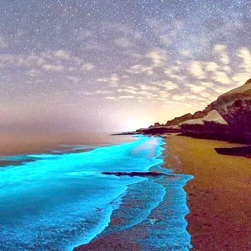 جزیرههای کمتر شناختهشده خلیجفارس برای سفرهای زمستانی