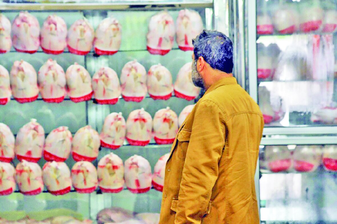 پروازهای مکرر قیمت مرغ پروازهای مکرر قیمت مرغ