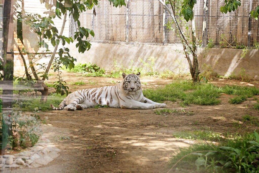 لغو نامزدی باغوحش ارم برای عضویت در اتحادیه باغوحشهای اروپا لغو نامزدی باغوحش ارم برای عضویت در اتحادیه باغوحشهای اروپا