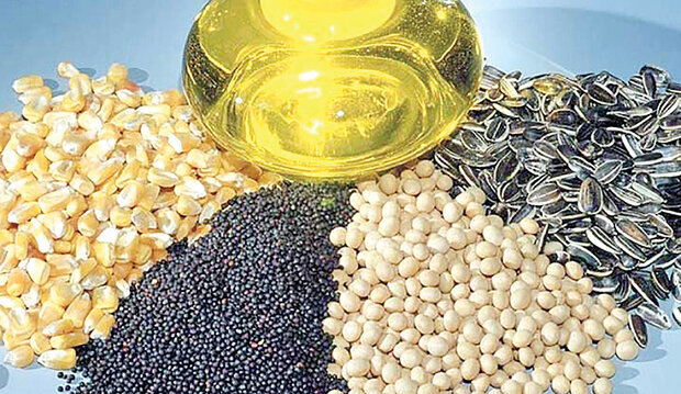خوداتکایی ۴۰ درصدی دانههای روغنی خوداتکایی ۴۰ درصدی دانههای روغنی