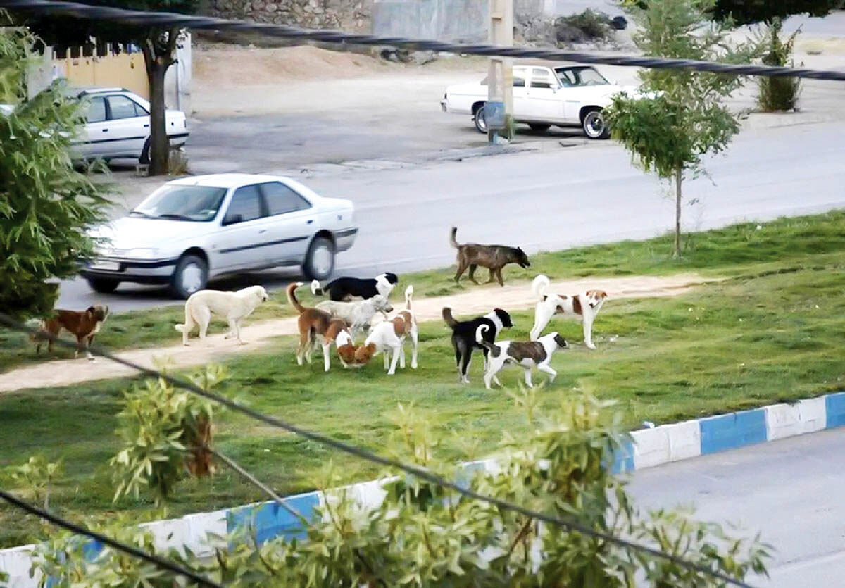 هدیه شهرهای اقماری به تهران هدیه شهرهای اقماری به تهران