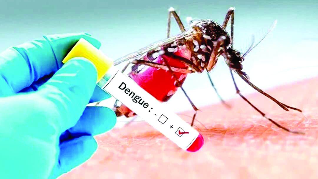 هشدار در مورد شیوع تب دنگی در کشور هشدار در مورد شیوع تب دنگی در کشور