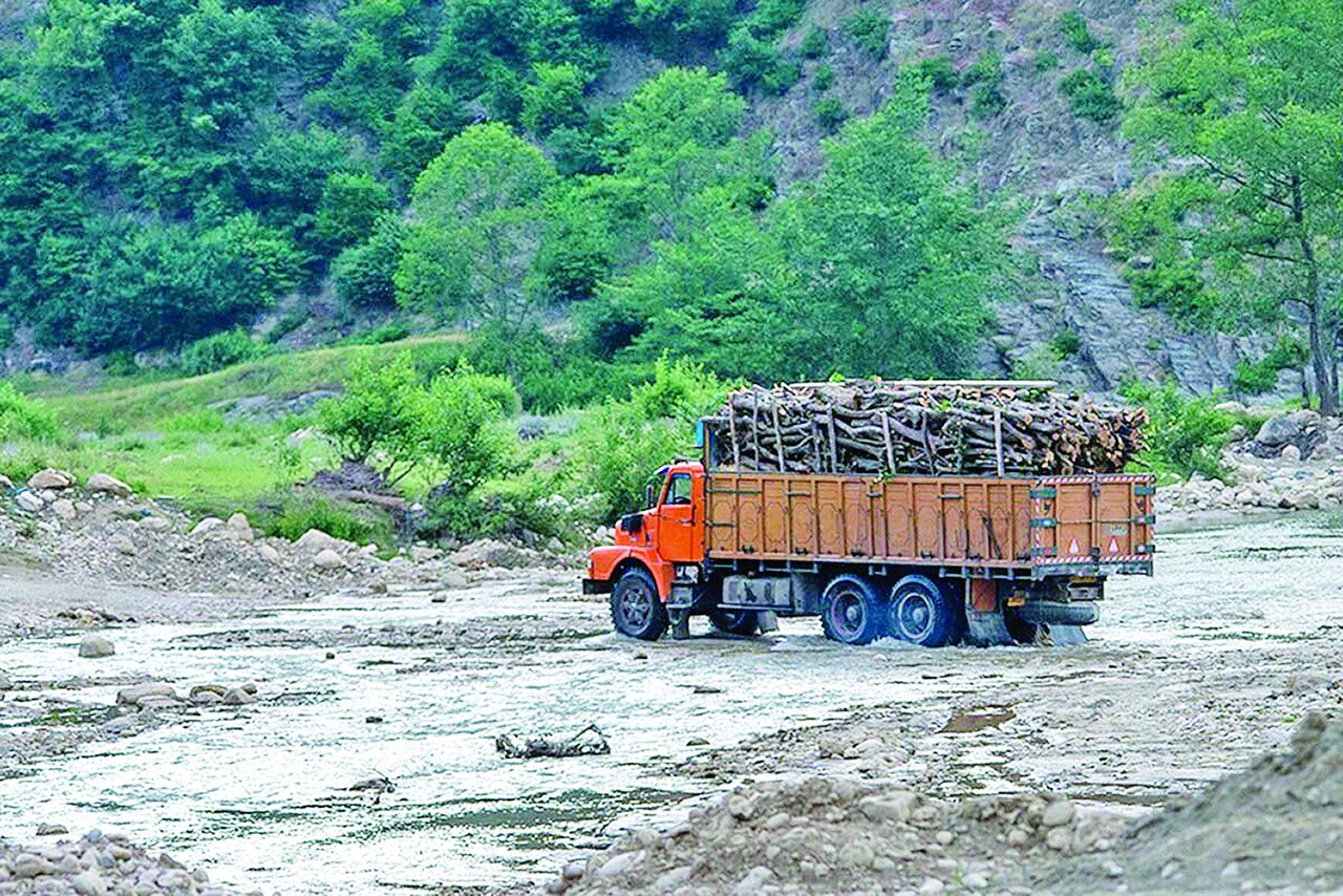 نسخه غربی برای جنگلهای بومی ایران نسخه غربی برای جنگلهای بومی ایران